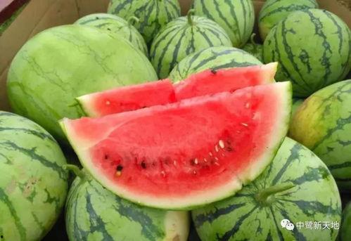 莱州今日吃瓜爆料,揭秘当地热点事件背后的真相  第3张